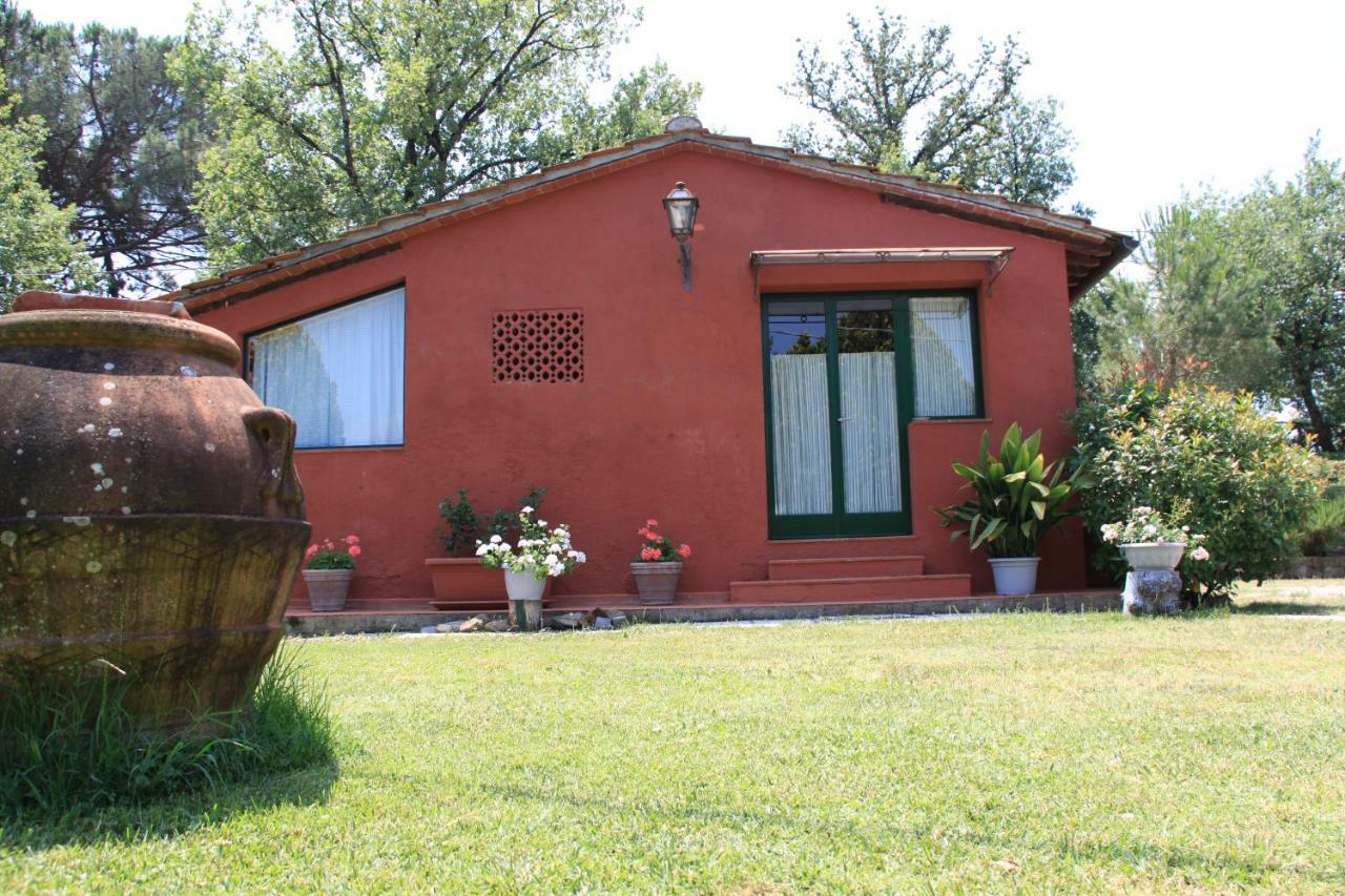 Le Giunchete Villa Cavriglia Bagian luar foto